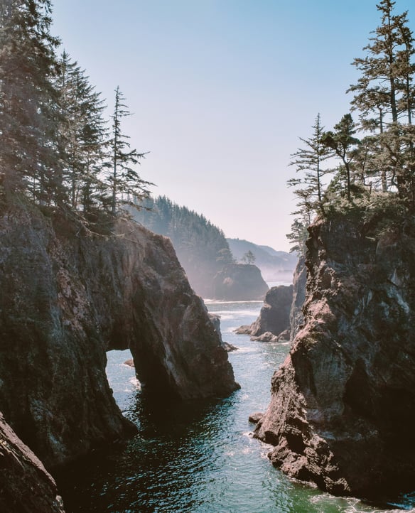 Wild Coastal Views